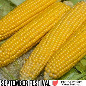 square image with a photo of 4 corn cobs on leaves. A white strip at the bottom has the text September Festival Clinton County Corn Festival. Image via Canva