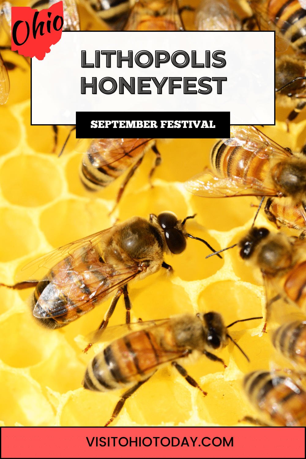 Lithopolis Honeyfest is a captivating September event that celebrates beekeeping, honey bees, and honey while promoting and preserving beekeeping in Ohio and beyond.