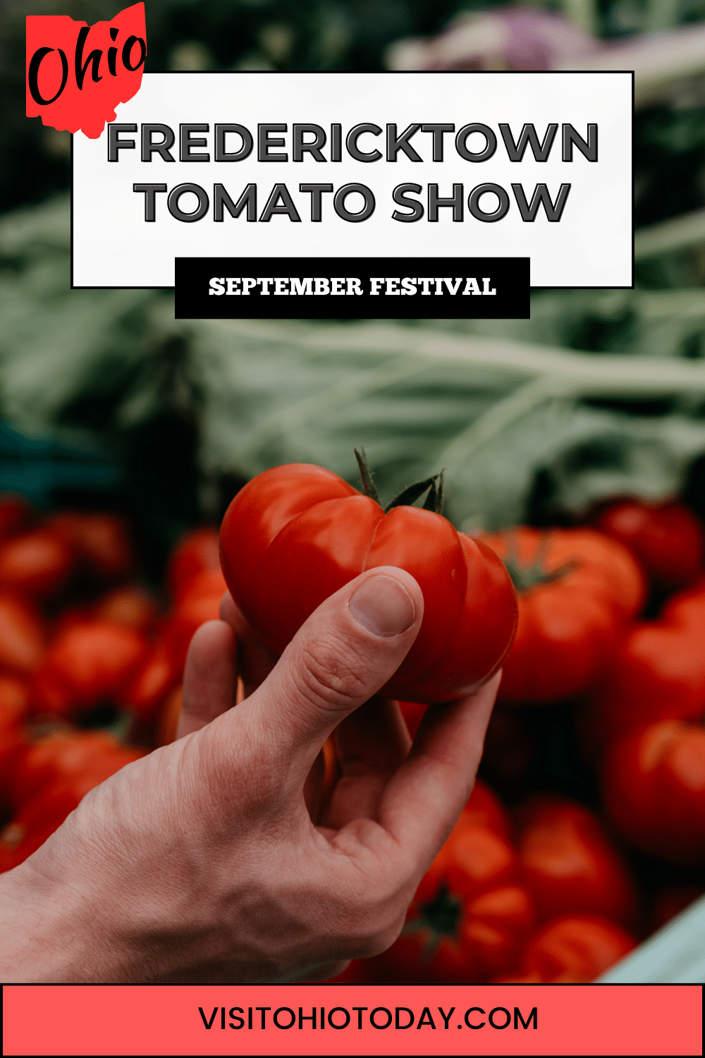 The Fredericktown Tomato Show is an annual street fair, taking place from the first Wednesday through Saturday after Labor Day each year.