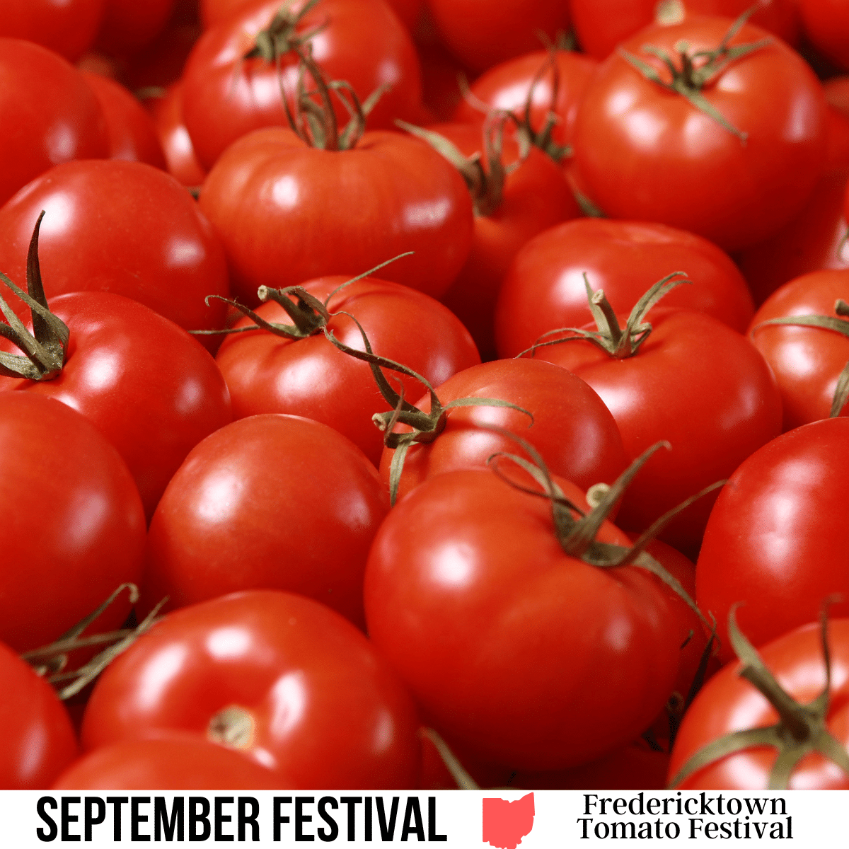 square image with a photo of ripe tomatoes. A white strip across the bottom has the text September Festival. Fredericktown Tomato Festival