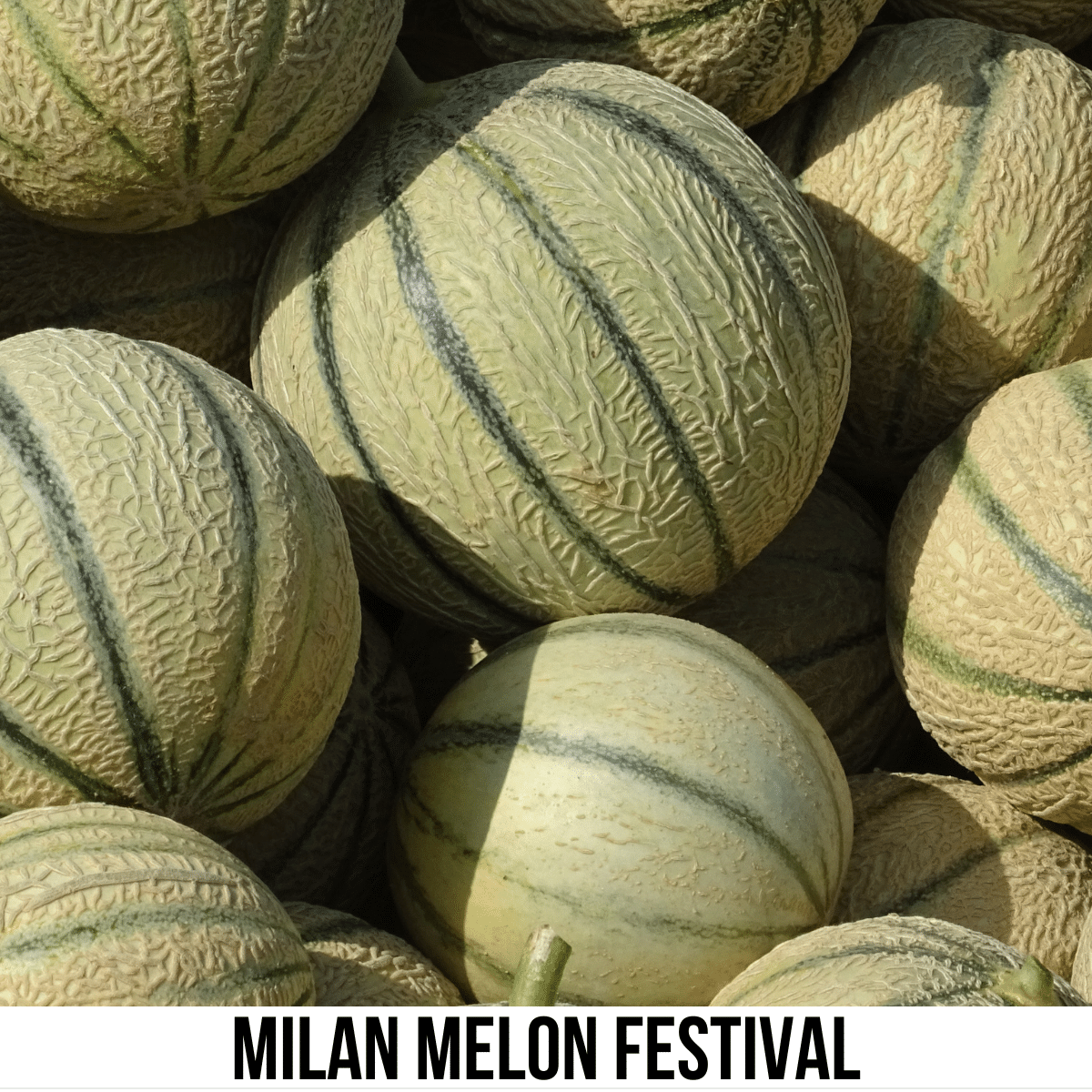 square image with a photo of a pile of cantaloupe melons. A white strip across the bottom has the text Milan Melon Festival