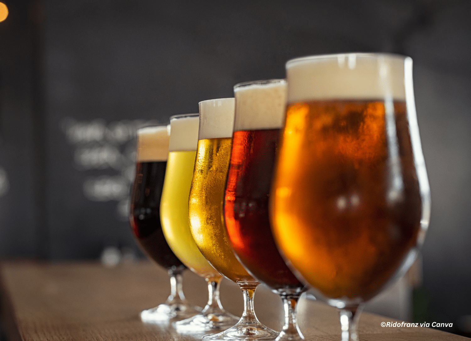 horizontal photo of a row of beer glasses on a bar