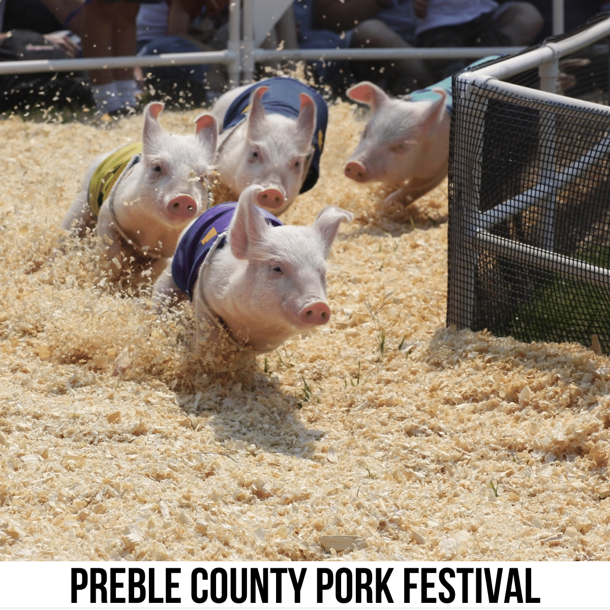 square image with a photo of pigs racing. A white strip across the bottom has the text Preble County Pork Festival