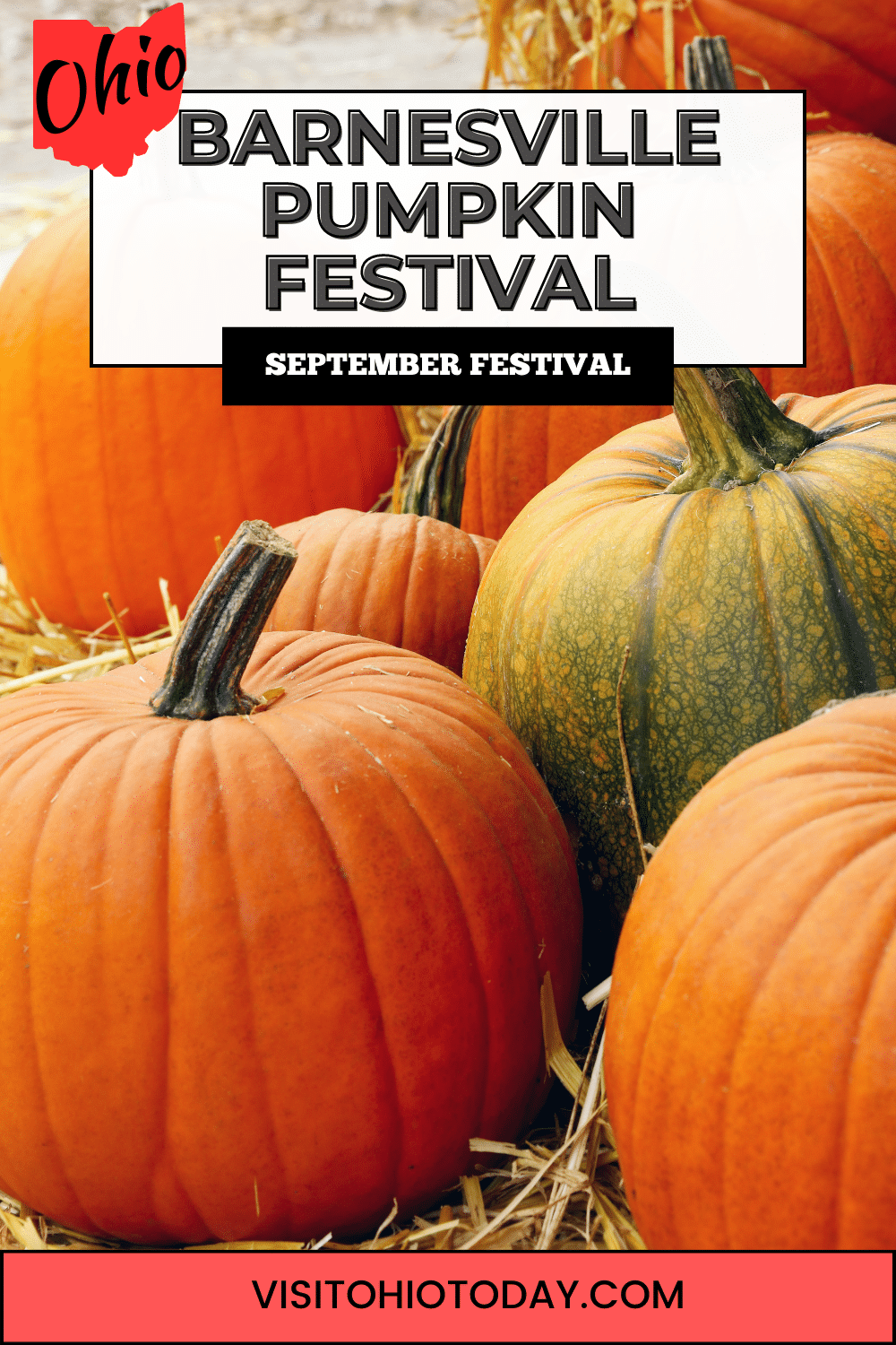 The Barnesville Pumpkin Festival is a four-day event, held on September 21-24, 2023 with a variety of activities for all ages. It features agricultural and horticultural displays, an antique car show, the Giant Pumpkin Parade, and retail window displays.