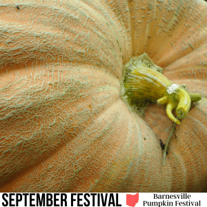 square image with a photo of the top of a giant pumpkin with a white strip at the bottom with the text September Festival Barnesville Pumpkin Festival Image via Canval Pro License