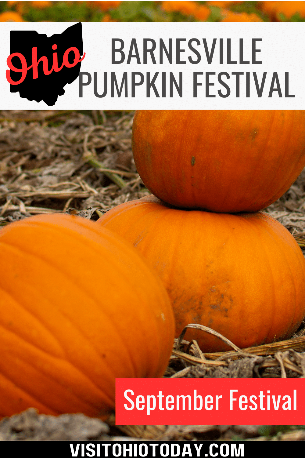 Barnesville Pumpkin Festival Visit Ohio Today