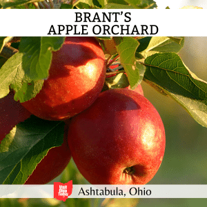 Brant’s Apple Orchard