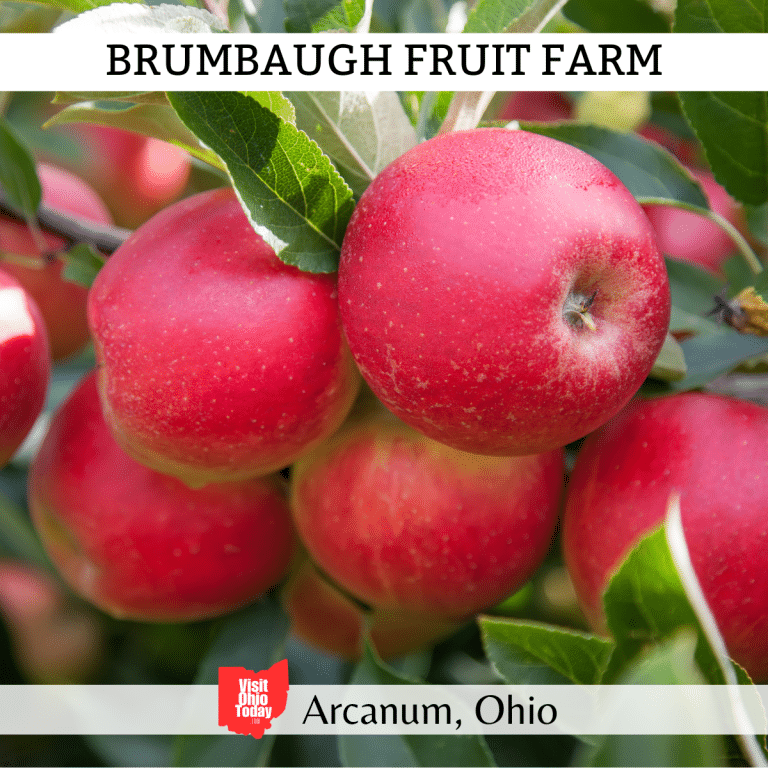 Brumbaugh Fruit Farm