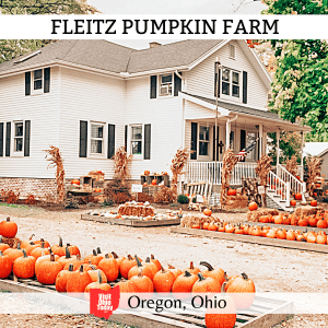 Fleitz Pumpkin Farm