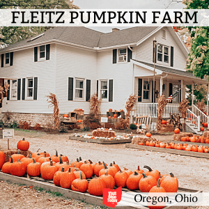 square image with a photo of the Fleitz Farm house with orange pumpkin displays in front of it. Image courtesy of Fleitz Pumpkin Farm