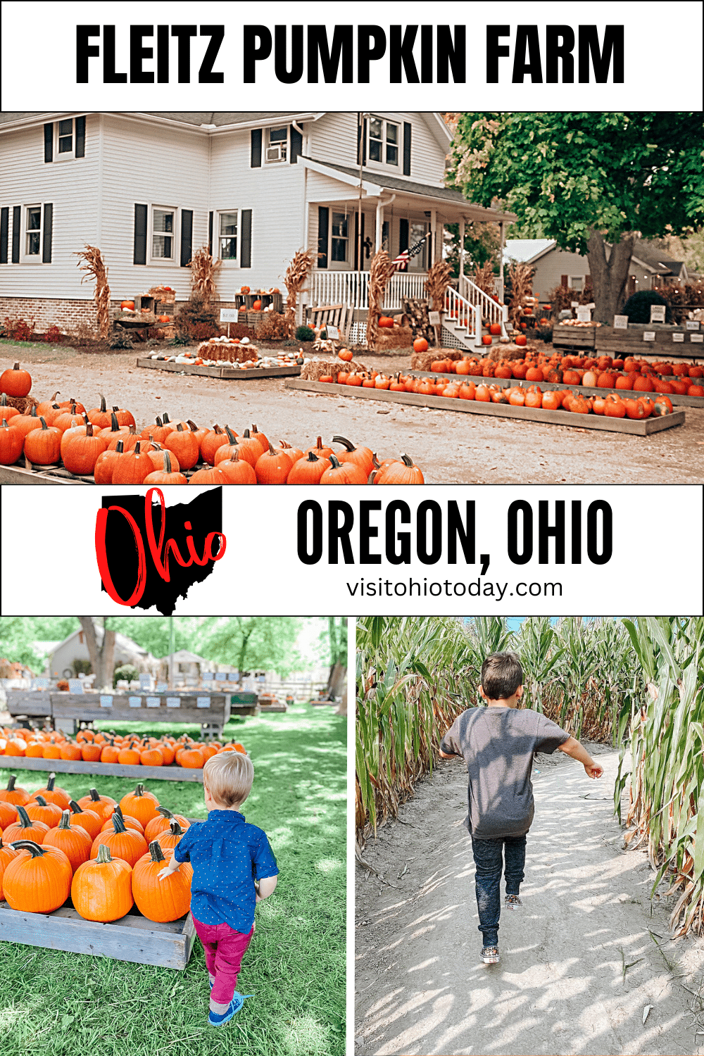 Fleitz Pumpkin Farm is the perfect place to spend your fall. It is an affordable, fun day out for all the family! Read on to find out more...