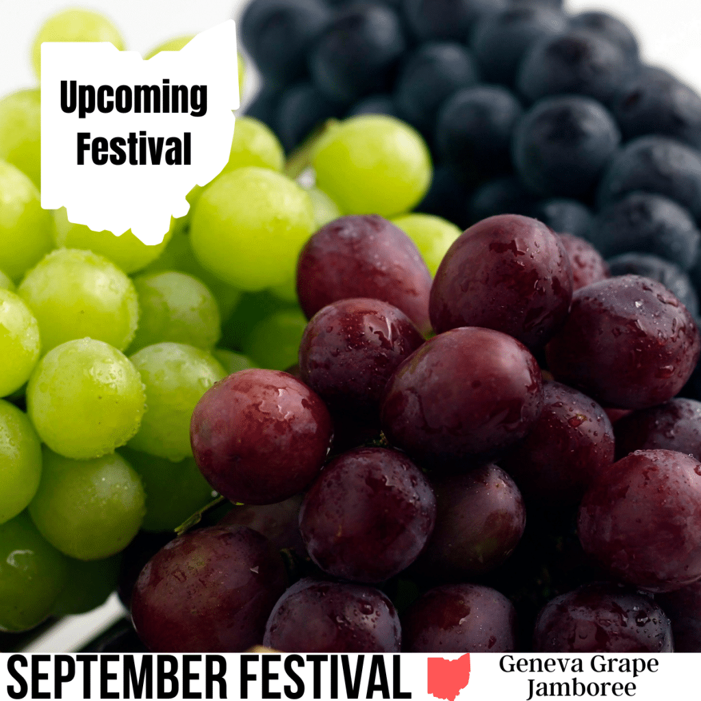square image with a photo of some green, red and purple grapes with a white strip at the bottom with the text September Festival Geneva Grape Jamboree Image via Canva pro license