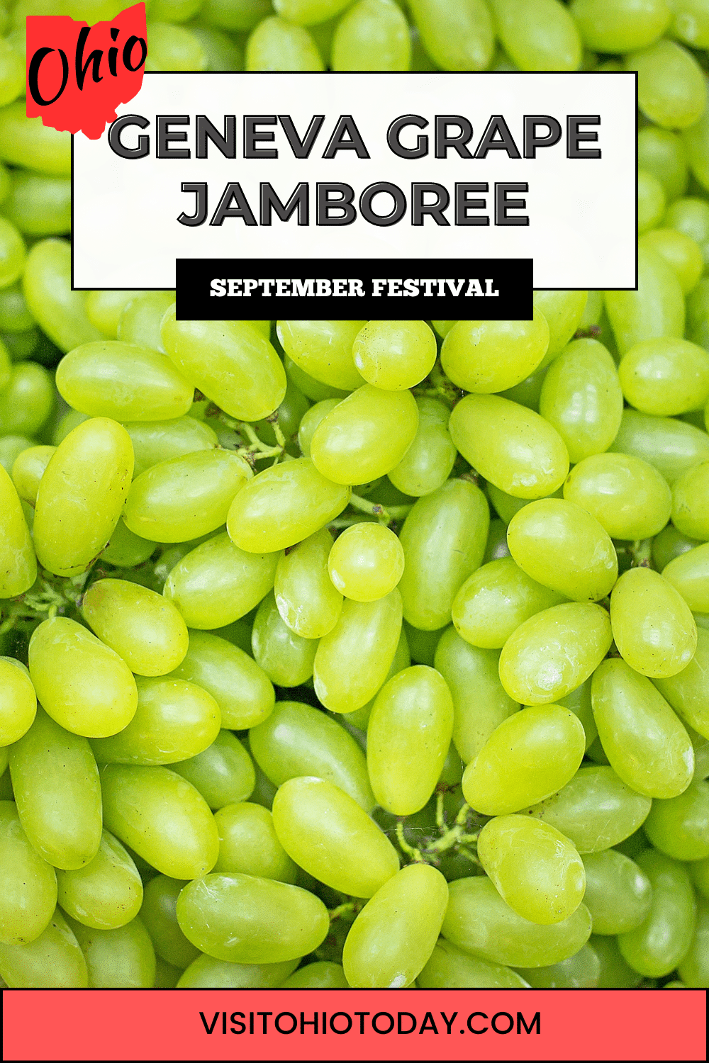 The Geneva Grape Jamboree takes place over two days, September 23 and 24, 2023. This festival is a celebration of the grape harvest in the Geneva area. Visitors can taste grapes, grape juice, grape pies, wine, and various other products.