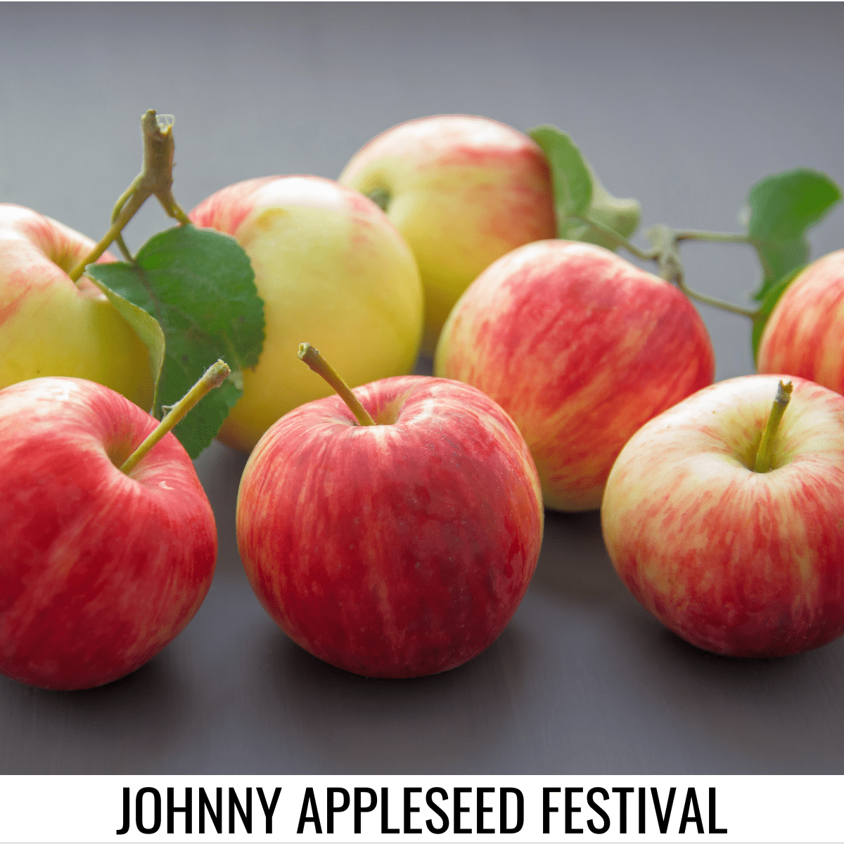 square image with a photo of 8 apples on a dark surface. A white strip at the bottom has the text Johnny Appleseed Festival. Image via Canva pro license