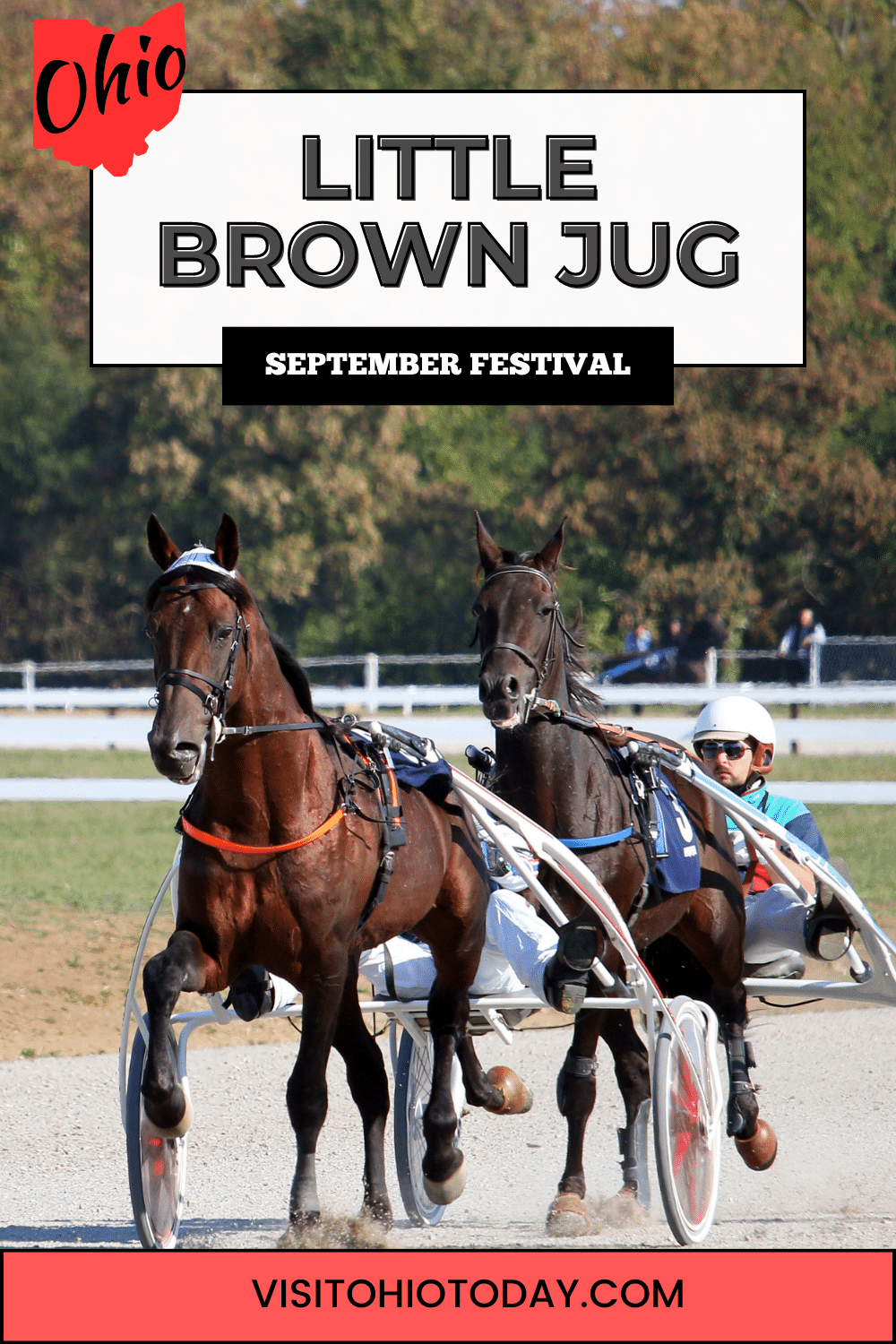 The Little Brown Jug series of harness races will be held on Thursday September 21, 2023. Soak in the excitement of these lightning fast, half-mile races!