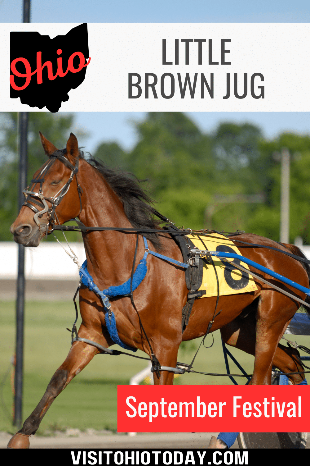 The Little Brown Jug is an annual set of harness races held towards the end of the Delaware County Fair. Held on Thursday September 21, 2023.