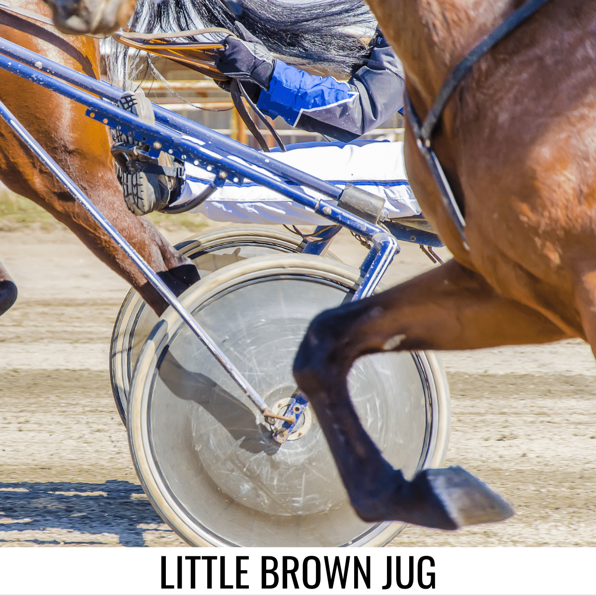 square image with a photo of a close up of the wheels of a harness and the legs of horses in a harness race. A white strip at the bottom has the text Little Brown Jug. Image via Canva pro license