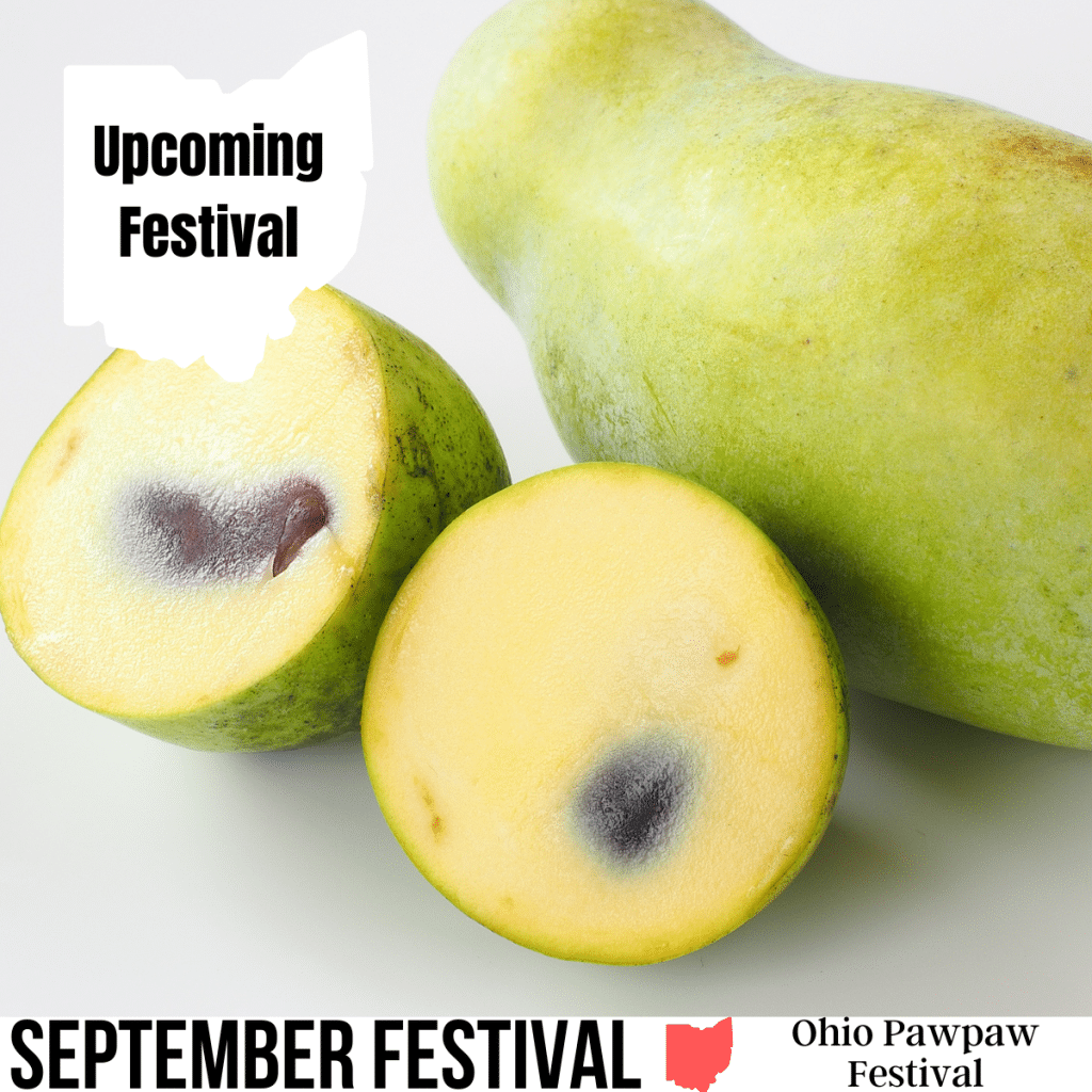 square image with a photo of a pawpaw cut in half with a white strip at the bottom with the text September Festival Ohio Pawpaw Festival and a white Ohio map at the top with the text Upcoming Festival. Image via Canva pro license