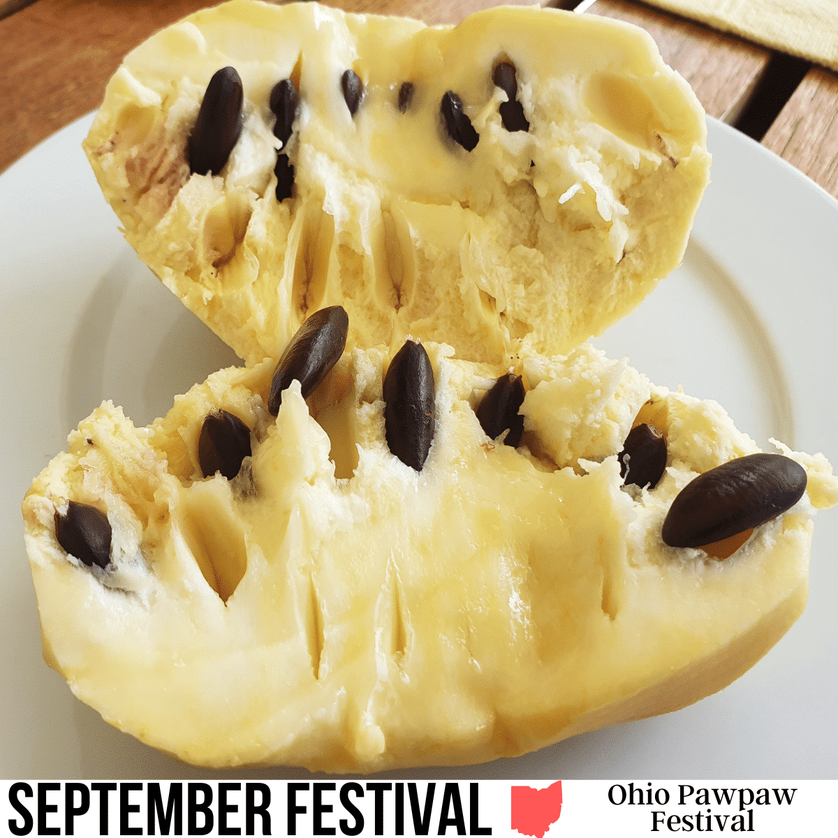 Ohio Pawpaw Festival Visit Ohio Today ohio-pawpaw-festival-visit-ohio-today