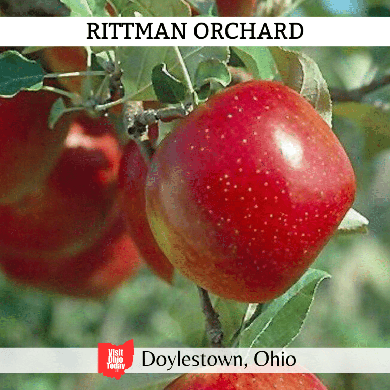 Rittman Orchard