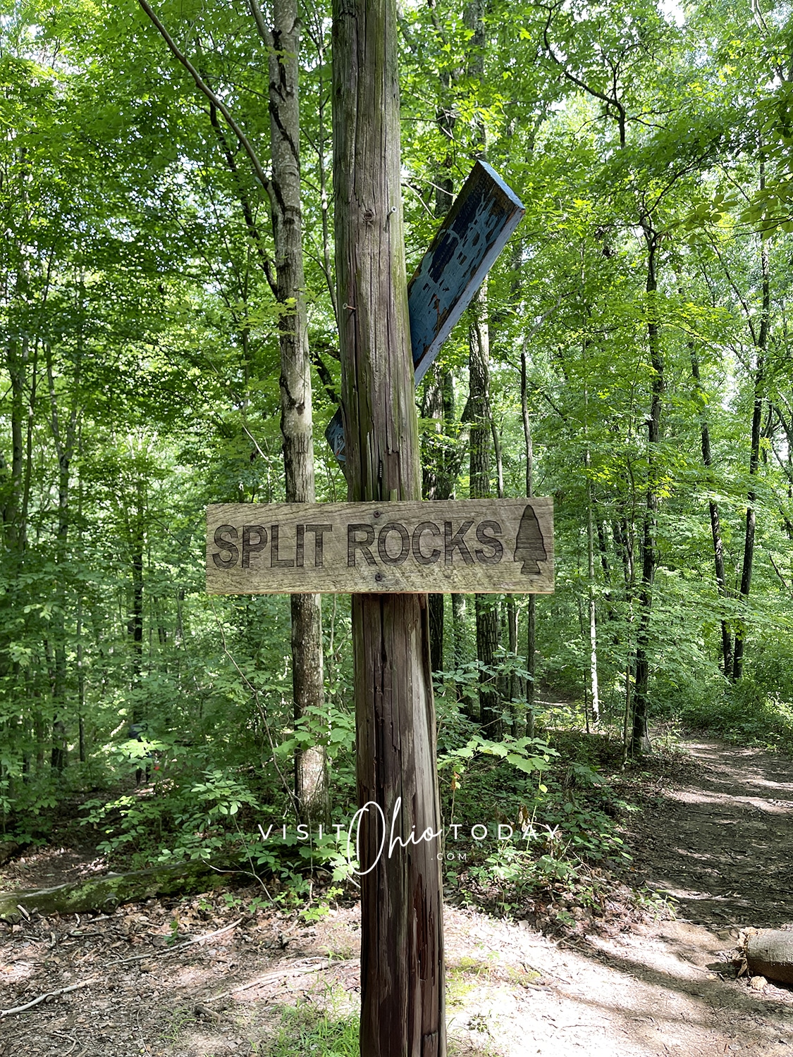 vertical photo of a tree in the foreground with a sign with the text Split Rocks. A tree-lined trail in the background