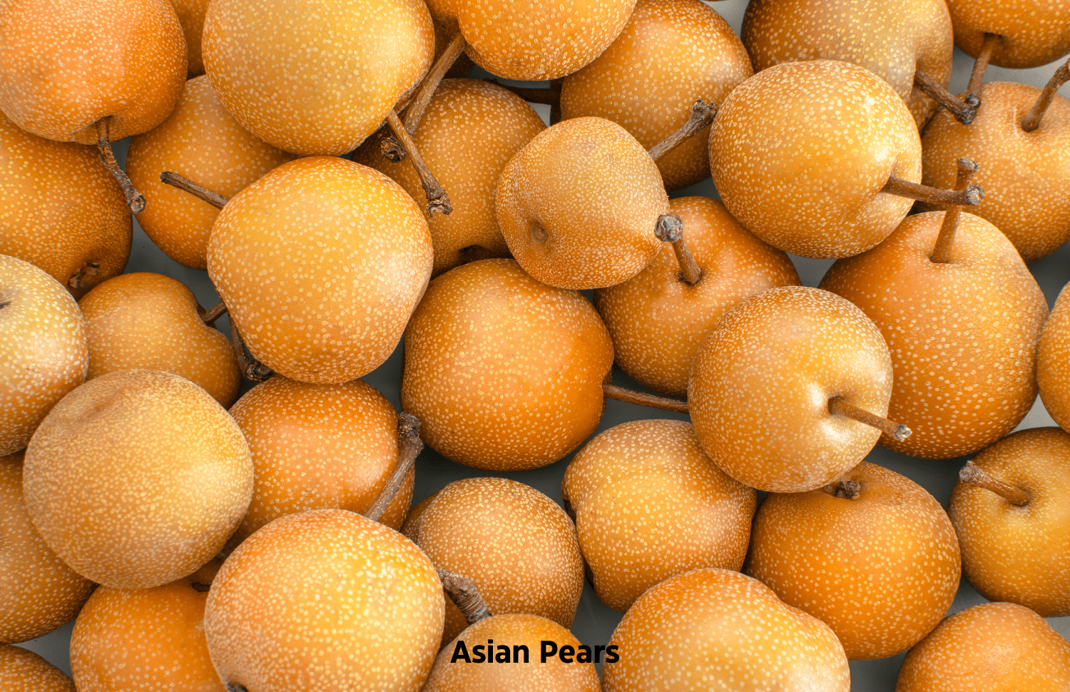 horizontal photo of yellow Asian pears