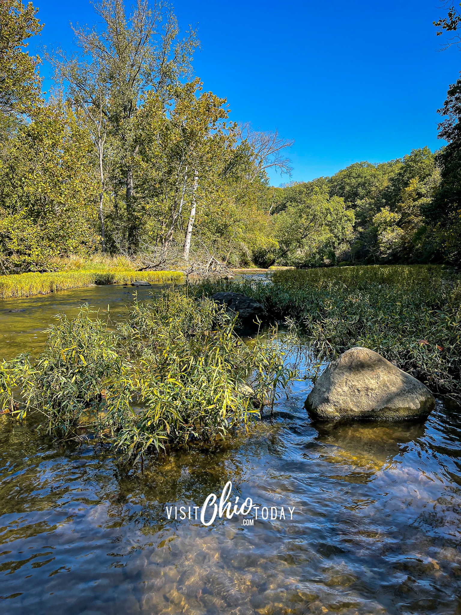 vertical photo showing the creek at batelle darby creek metro park with a large rock in the water and a bank with trees and grass in the background Photo credit: Cindy Gordon of VisitOhioToday.com