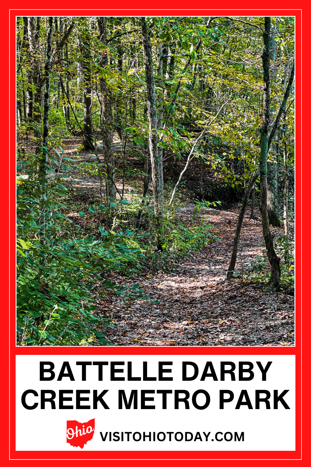 Battelle Darby Creek Metro Park is a huge park that covers over 7,000 acres of prairies, forests, and wetlands. Stretching along both Big and Little Darby Creeks, there are many activities available at Battelle Darby Creek Metro Park.