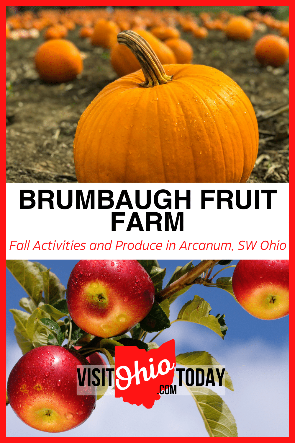 Brumbaugh Fruit Farm is located in Arcanum, Ohio. At Brumbaugh Fruit Farm you can find lots of fun Fall activities and Fall themed food.