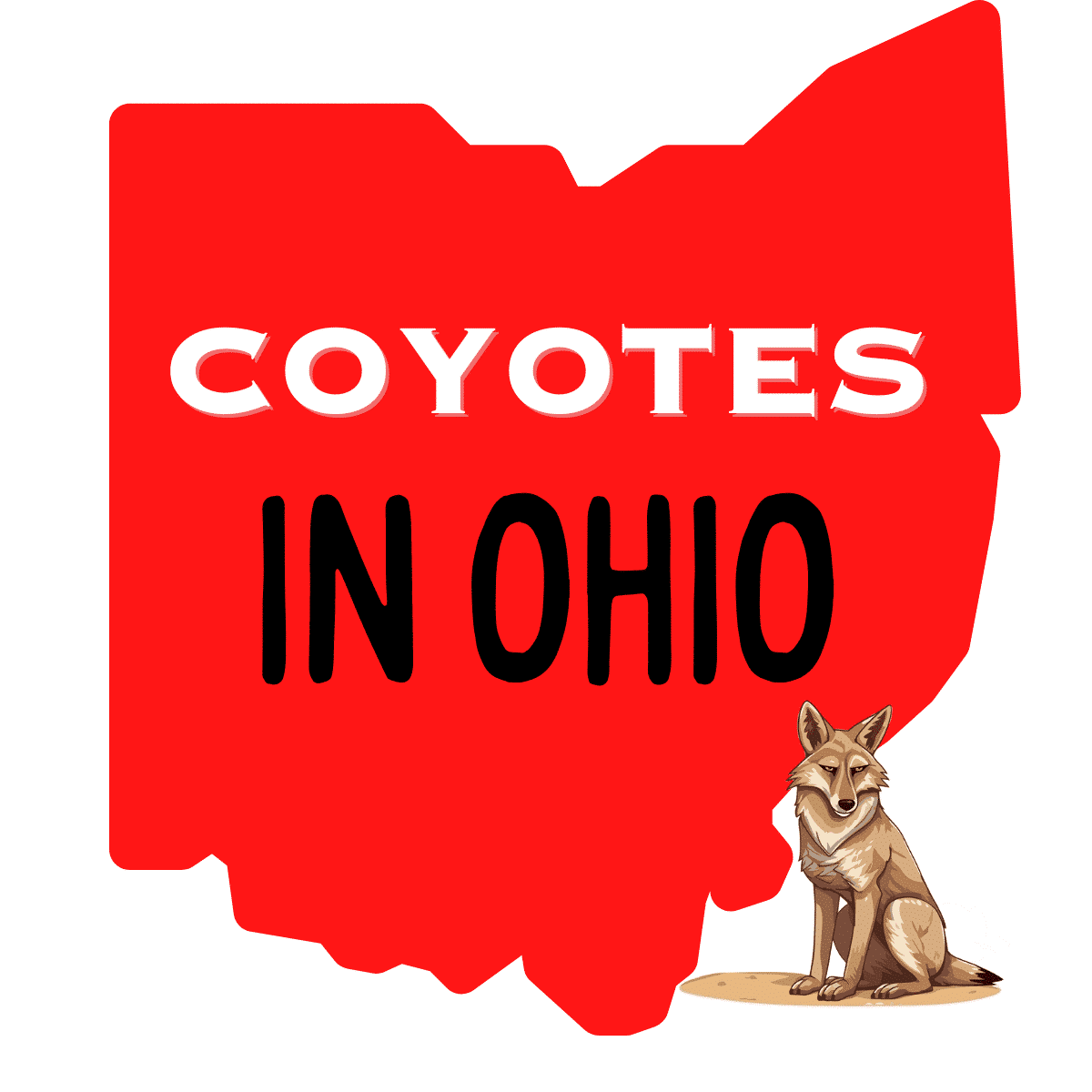 coyotes-in-ohio-visit-ohio-today