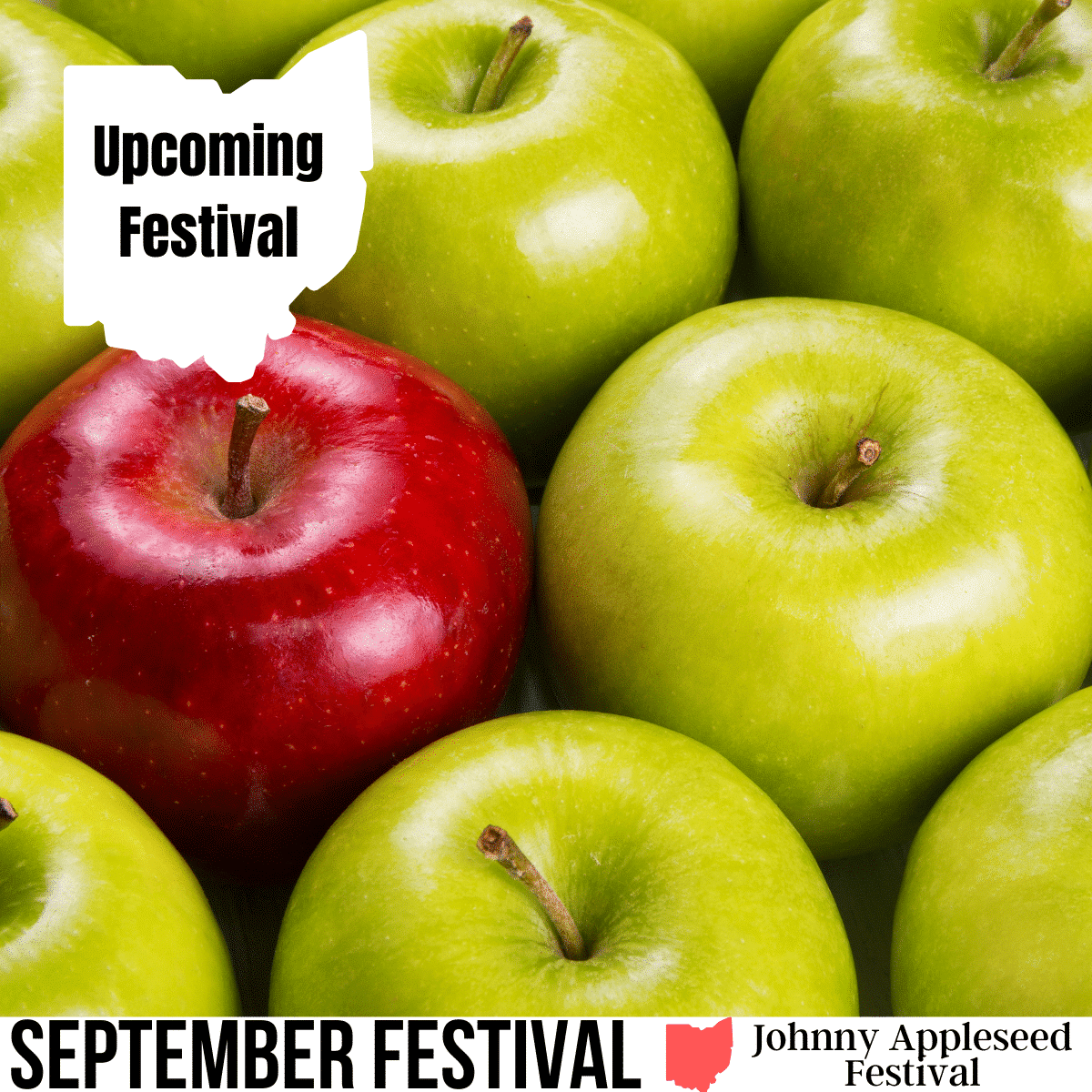 square image with a photo of some green apples and one red apple. A white strip at the bottom has the text September Festival Johnny Appleseed Festival. Image via Canva pro license