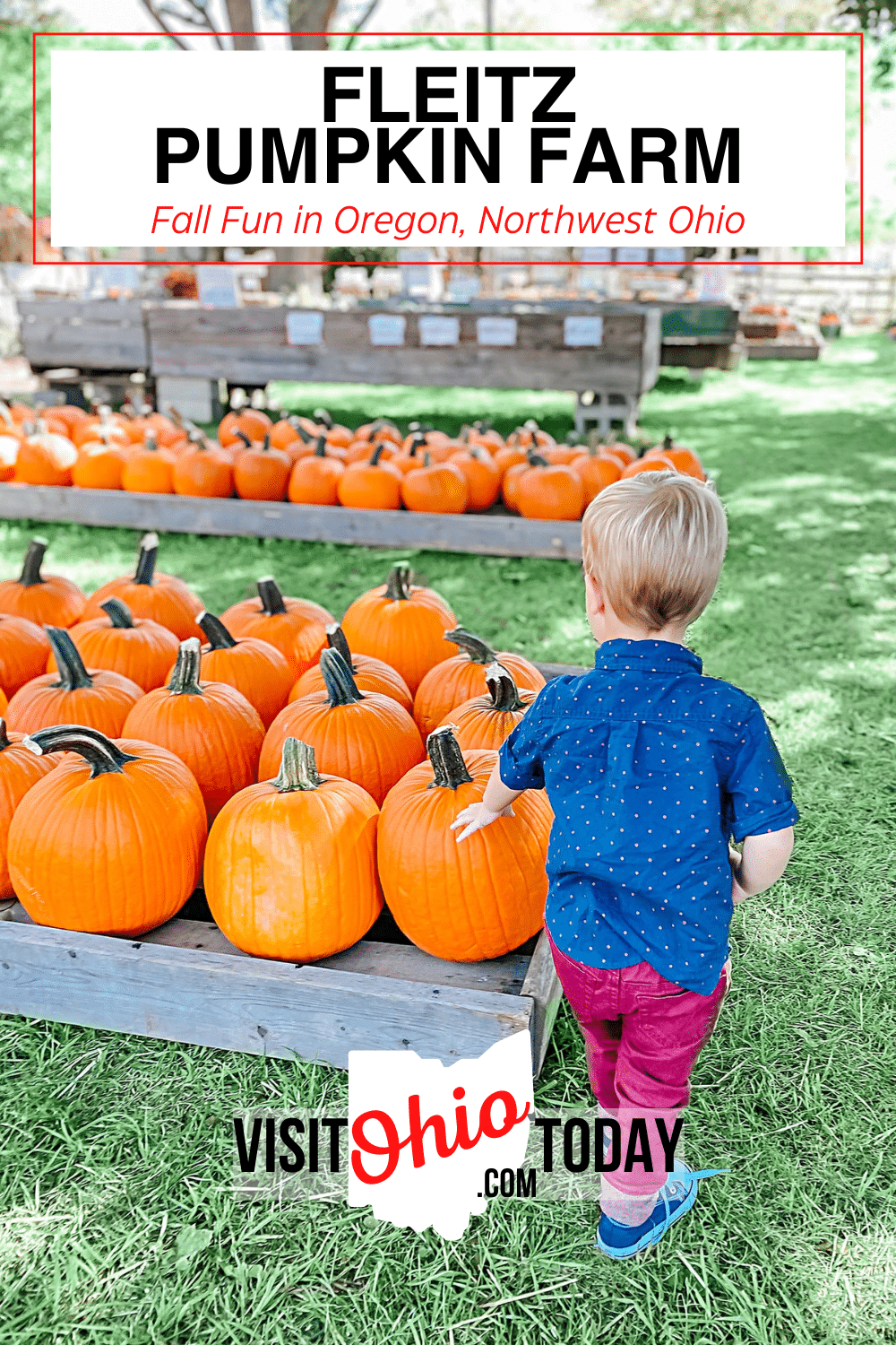 Fleitz Pumpkin Farm is the perfect place to spend a fall day. It is an affordable, fun day out for all the family, in Oregon, Northwest Ohio.