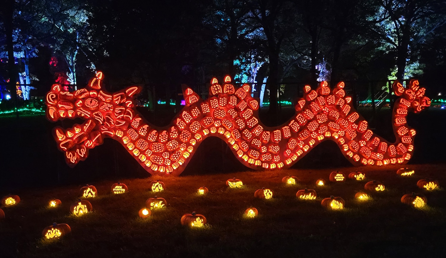 horizontal photo of the dragon at Jack O'Lantern World with jack o'lanterns in front of it. Image courtesty of Jack O'Lantern World