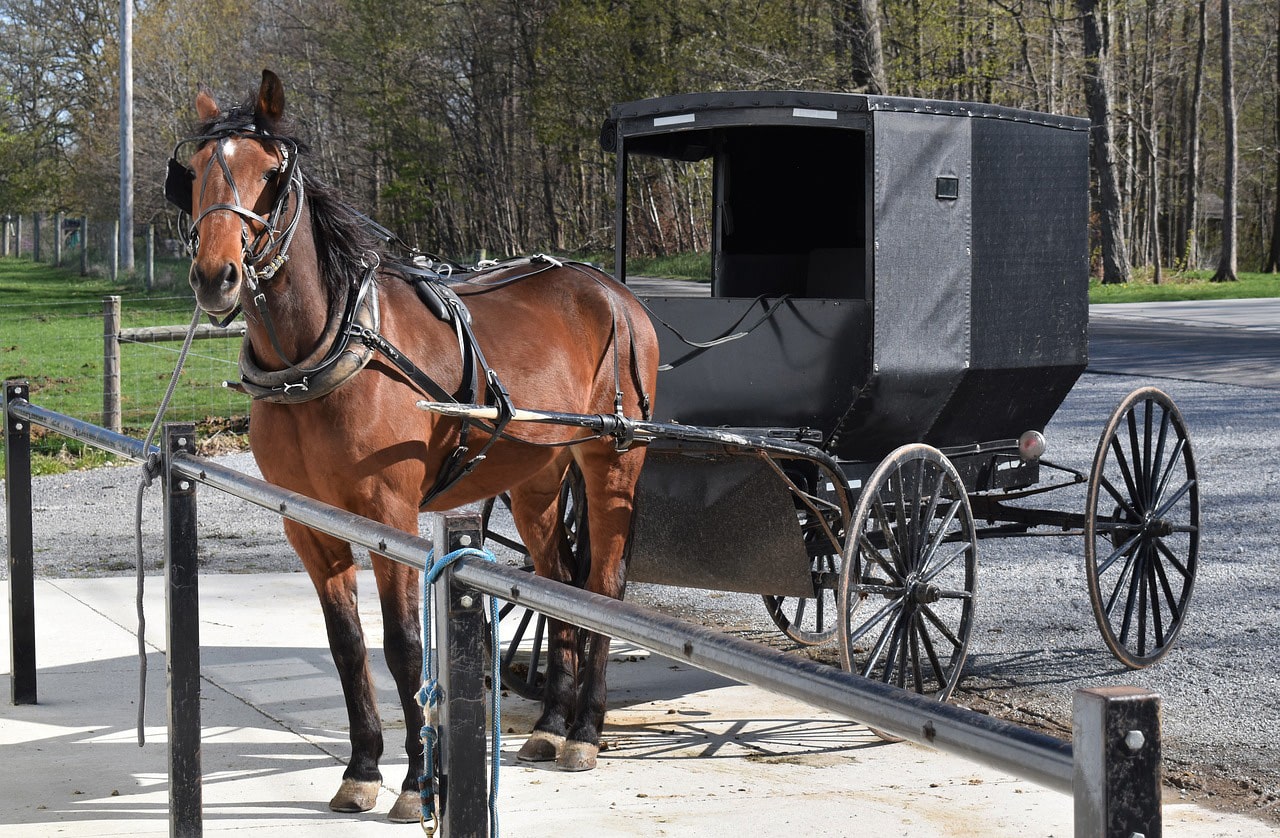 horizontal photo of an Amish horse and buggy parked on the sidewalk. Image via Pixabay