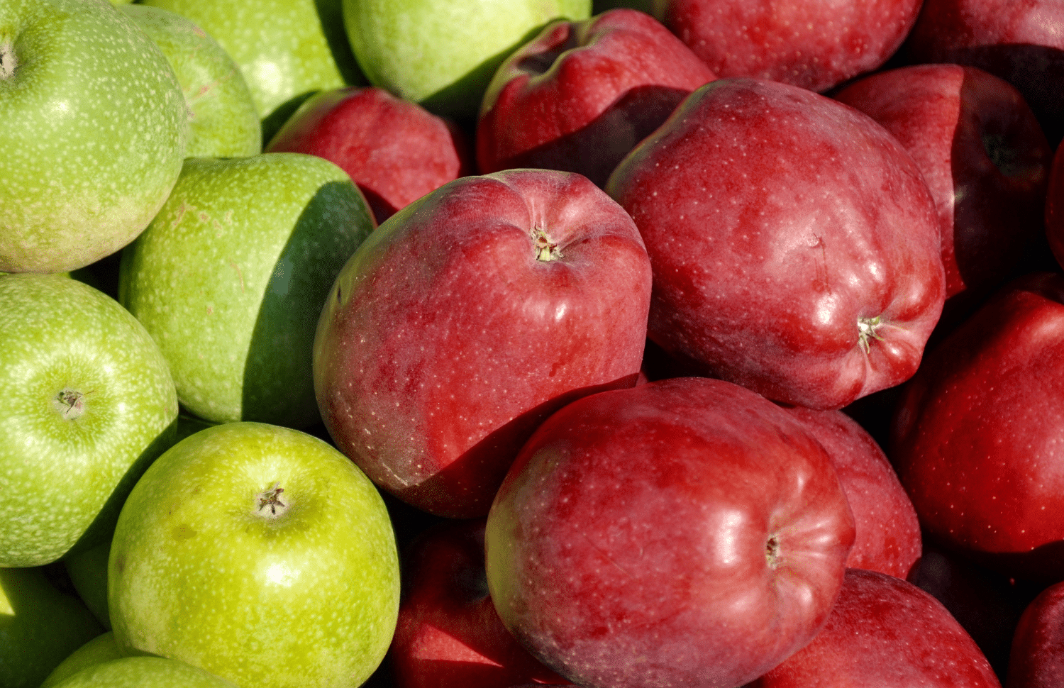 horizontal photo of a display of green and red apples