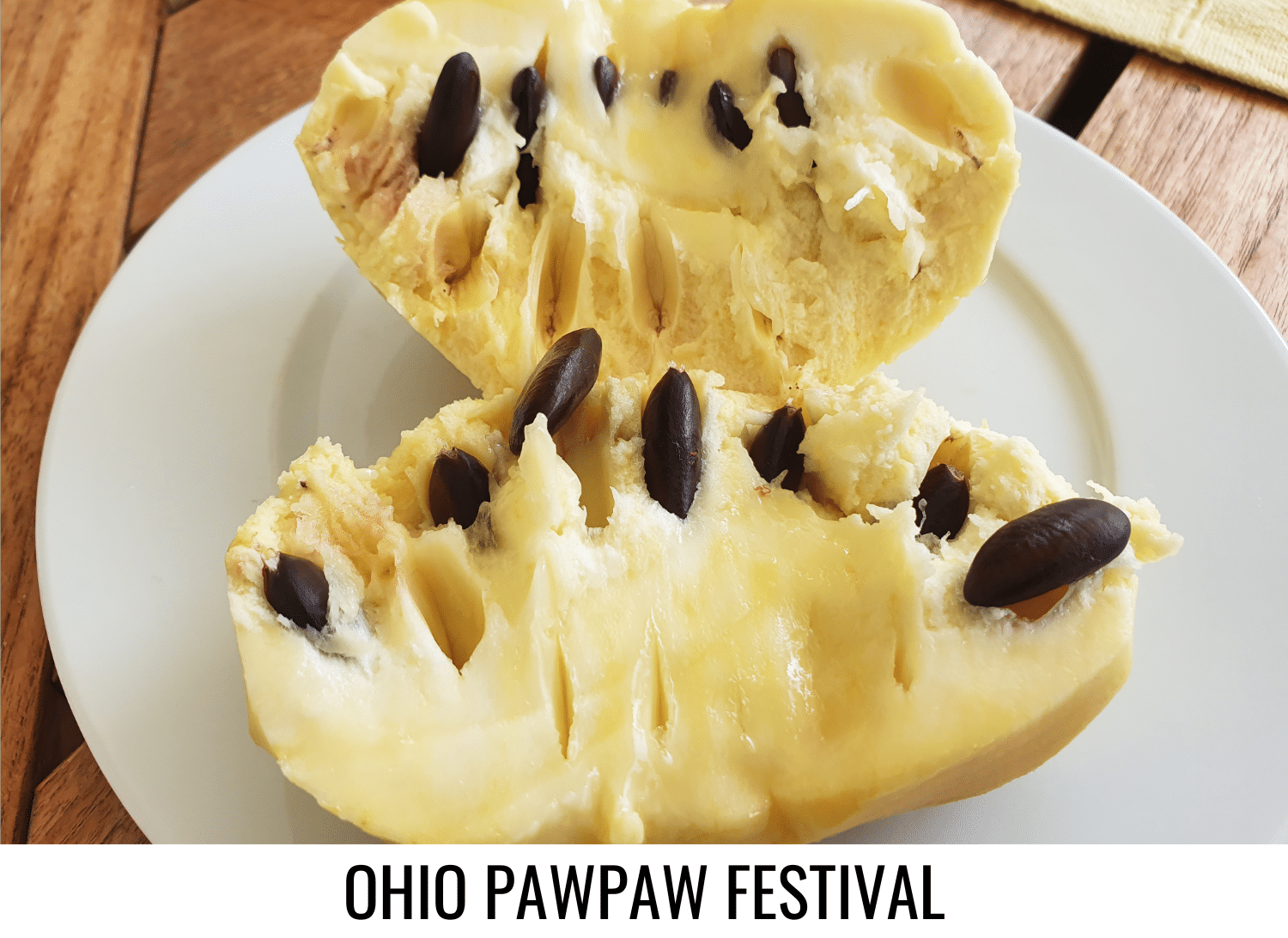 horizontal image with a photo of a pawpaw cut in half on a white plate. A white strip at the bottom has the text Ohio Pawpaw Festival. Image via Canva pro license