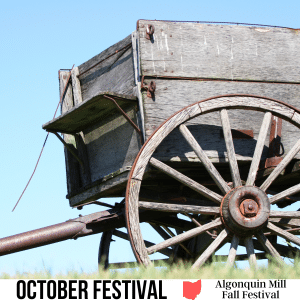 square image with a photo of an old wooden pioneer wagon and a blue sky in the background. A white strip across the bottom has the text October Festival, Algonquin Mill Fall Festival. Image via Canva pro license