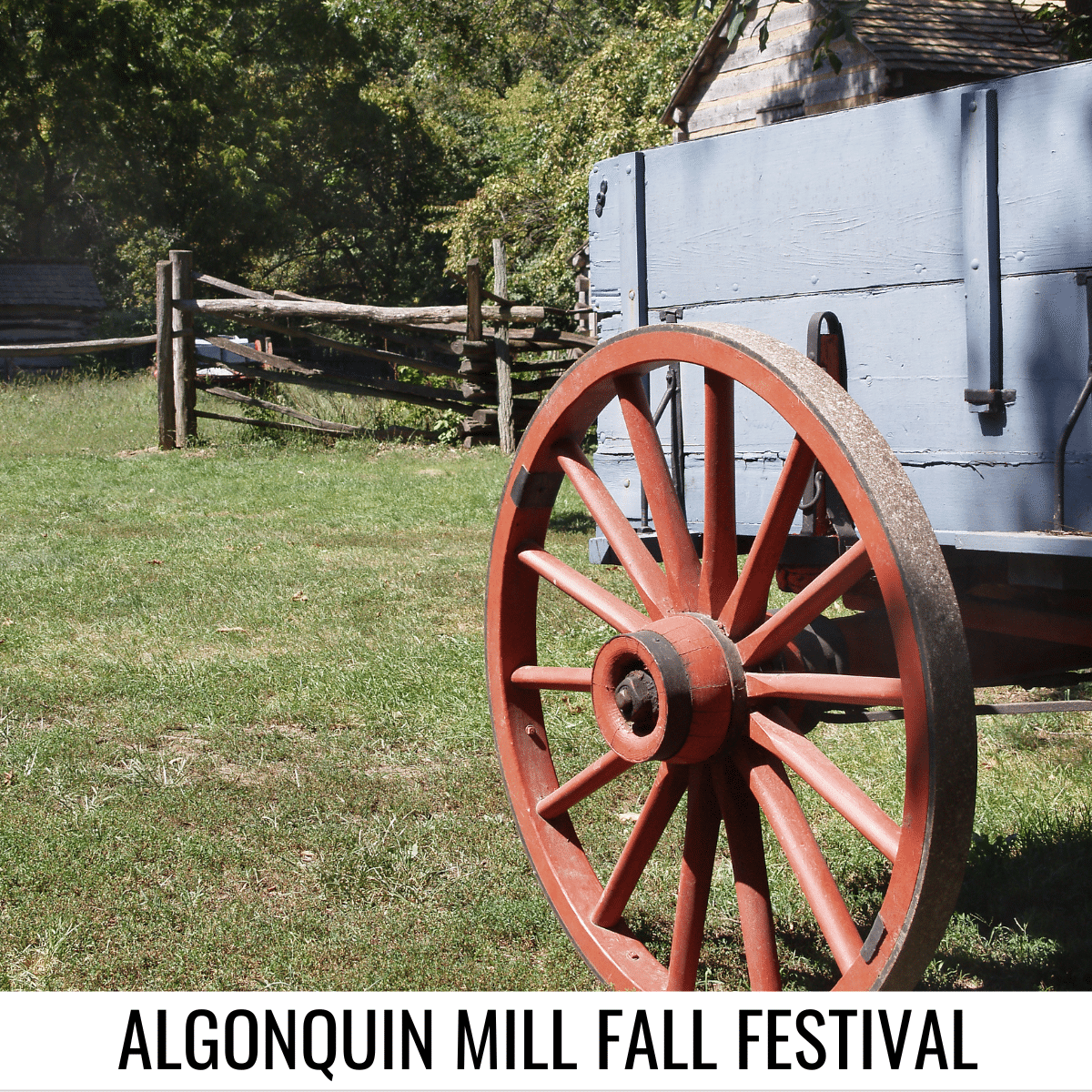 Square image with a photo of a wooden wagon on the right in a field, with fencing in the backgrounds. A white strip at the bottom has the text Algonquin Mill Fall Festival. Image via Canva pro license