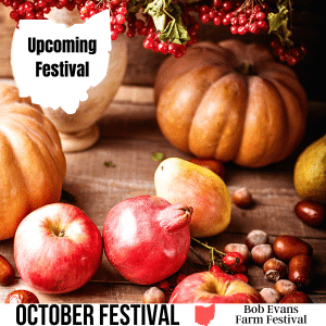 square image with a photo of orange pumpkins, apples, a pomegranate, pears, rose hips, hazelnuts and dates on a wooden surface. A white strip at the bottom has the text October Festival Bob Evans Farm Festival Image via Canva pro license