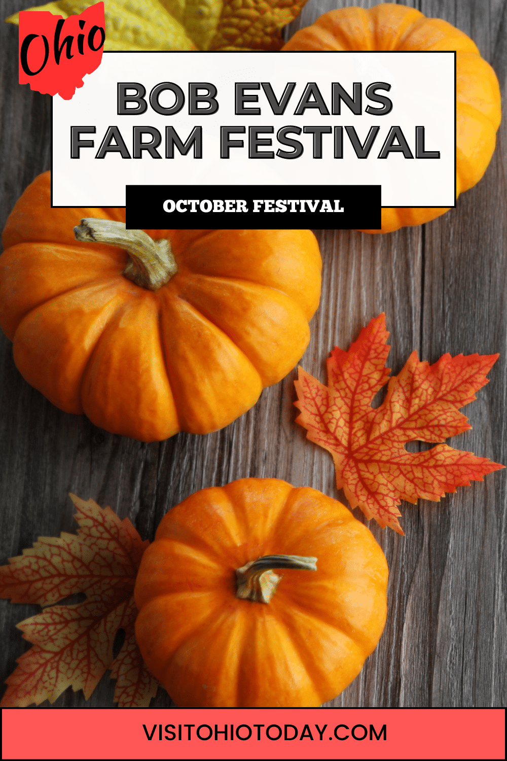 The annual Bob Evans Farm Festival is held at the original farm that belonged to Bob Evans in Rio Grande. Held on the second full weekend of October, there are three days full of family fun!