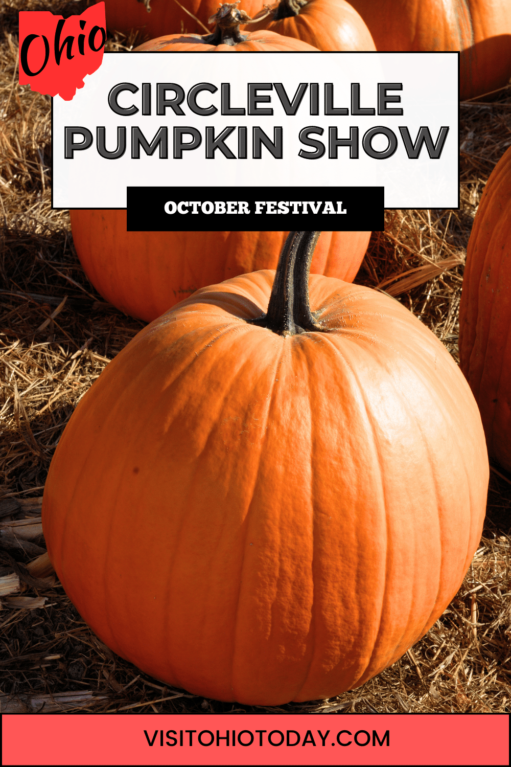 The Circleville Pumpkin show is a huge event that was originally created to bring country folks and city folks together. It now hosts more than 100,000 visitors on each of the four days of the show.