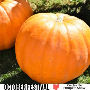 square image with a close up photo of two orange pumpkins in a field. A white strip at the bottom has the text October Festival Circleville Pumpkin Show. Image via Canva Pro License
