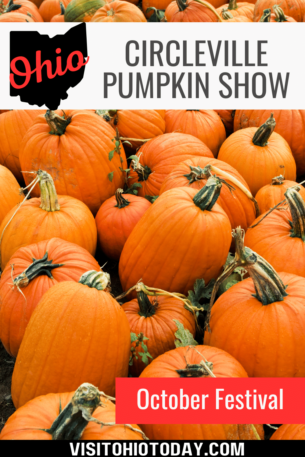 The Circleville Pumpkin Show is held from Wednesday to Saturday, October 18-21, 2023. It is the oldest and largest festival in Ohio. The idea of the show was to bring the country folks and the city folks together. There is no admission charge for this show.
