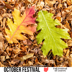 square image with a photo of a pile of leaves and a large green and yellow leaf on the top. A white strip at the bottom has the text October Festival Fall Festival of Leaves. Image via Canva pro license