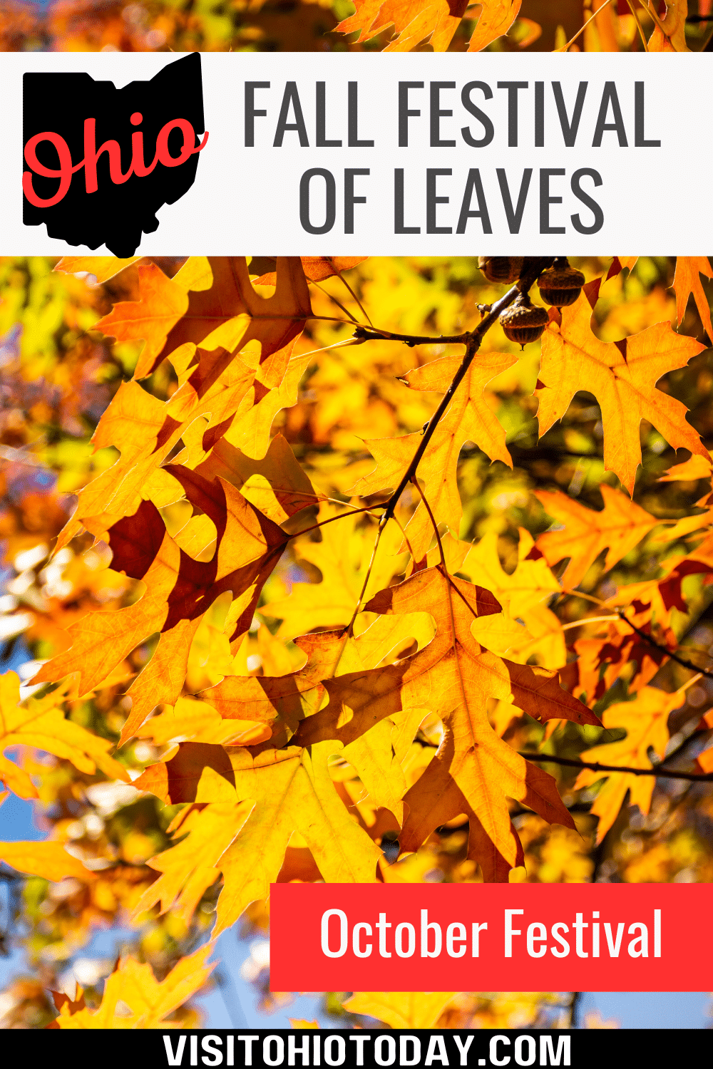The Fall Festival of Leaves is a three-day event held in Bainbridge, Ohio – ‘Leaf Country, USA!’ This festival takes place over the third weekend October 20-22, 2023.