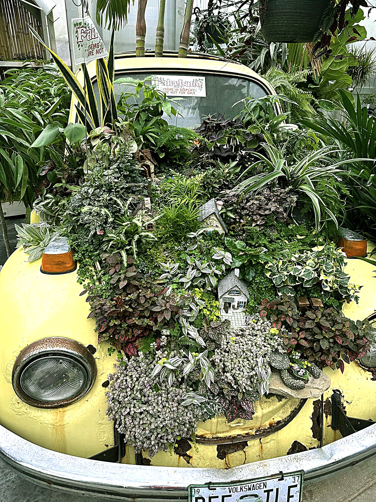 vertical image of a yellow beetle car with plants growing from the hood and trailing over the front at Groovy Plants Ranch. Image via CD, friend of Visit Ohio Today