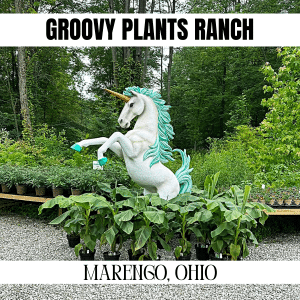 square image with a photo of a rearing unicorn statue with green plants in pots around the base of it. A white strip at the top has the text Groovy Plants Ranch and a white strip at the bottom has the text Marengo Ohio. Image via CD, friend of VisitOhioToday.com