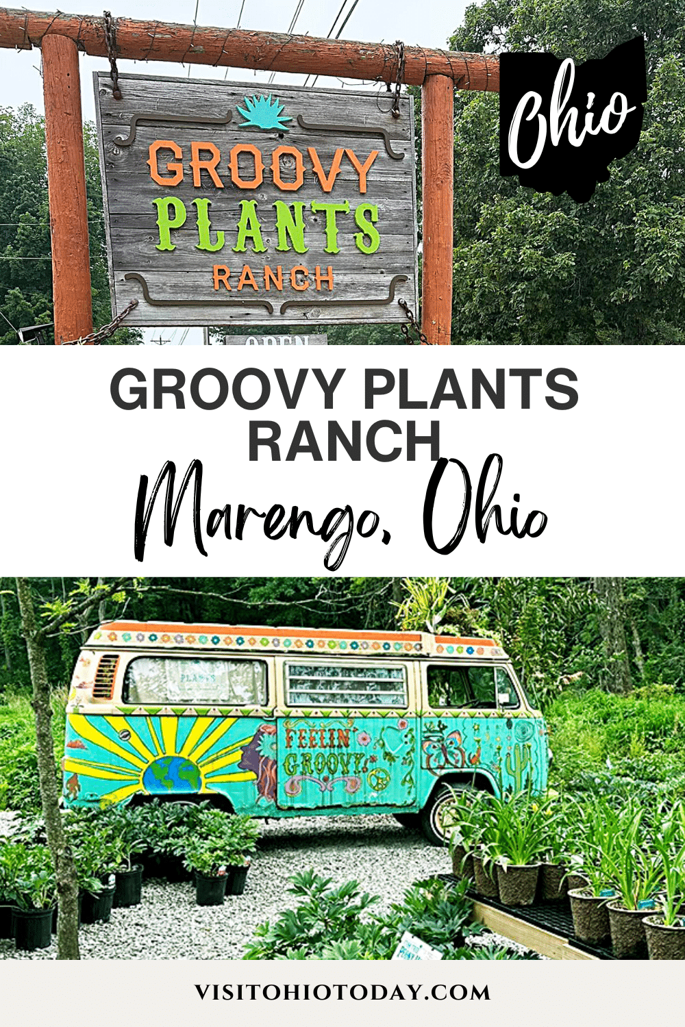 Groovy Plants Ranch is a family-owned greenhouse in Marengo, central Ohio. Just 18 miles from Delaware, and 36 miles from Columbus – a visit to Groovy Plants is worth the drive!