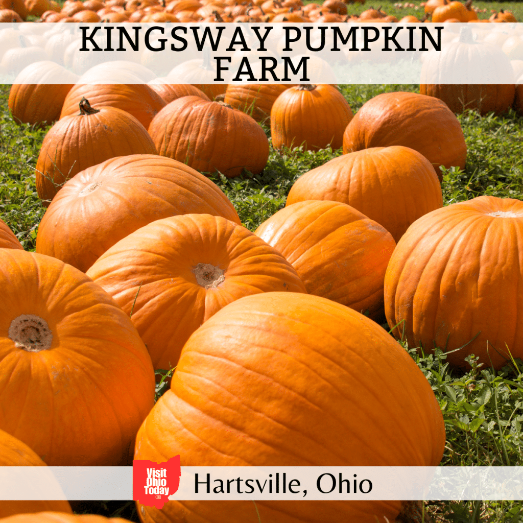 Kingsway Pumpkin Farm - Visit Ohio Today