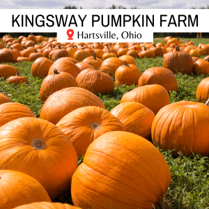 square image of a pumpkin patch with a white strip at the top with the text Kingsway Pumpkin Farm Hartsville Ohio. Image via Canva pro license